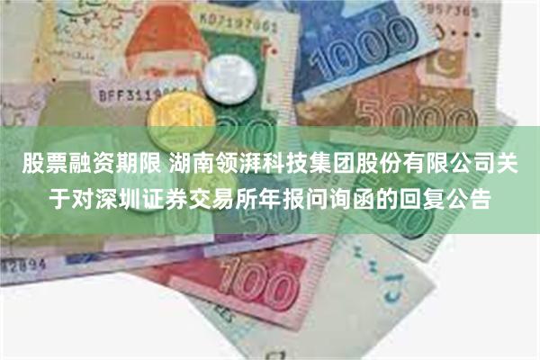 股票融资期限 湖南领湃科技集团股份有限公司关于对深圳证券交易所年报问询函的回复公告