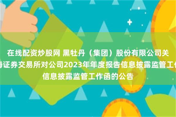 在线配资炒股网 黑牡丹（集团）股份有限公司关于回复上海证券交易所对公司2023年年度报告信息披露监管工作函的公告