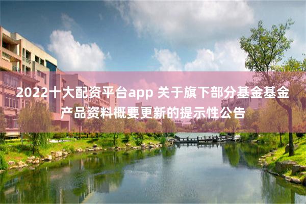 2022十大配资平台app 关于旗下部分基金基金产品资料概要更新的提示性公告