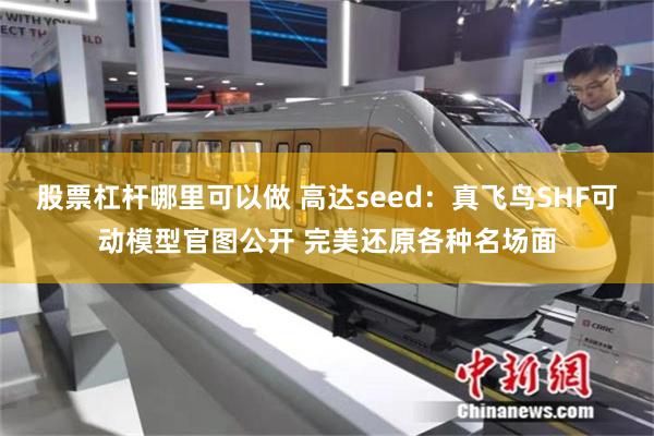 股票杠杆哪里可以做 高达seed：真飞鸟SHF可动模型官图公开 完美还原各种名场面