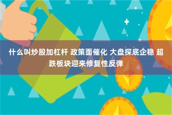 什么叫炒股加杠杆 政策面催化 大盘探底企稳 超跌板块迎来修复性反弹