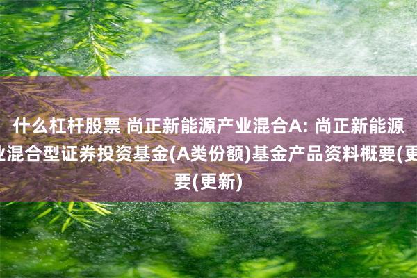 什么杠杆股票 尚正新能源产业混合A: 尚正新能源产业混合型证券投资基金(A类份额)基金产品资料概要(更新)