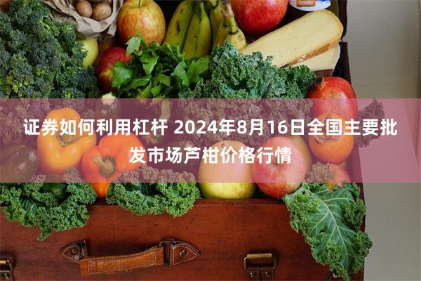 证券如何利用杠杆 2024年8月16日全国主要批发市场芦柑价格行情