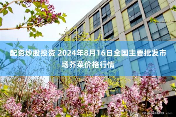 配资炒股投资 2024年8月16日全国主要批发市场芥菜价格行情