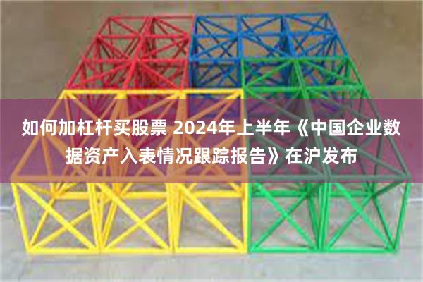 如何加杠杆买股票 2024年上半年《中国企业数据资产入表情况跟踪报告》在沪发布