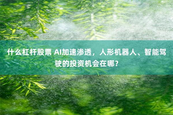 什么杠杆股票 AI加速渗透，人形机器人、智能驾驶的投资机会在哪？